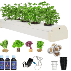 City Greens Hydroponic Kit