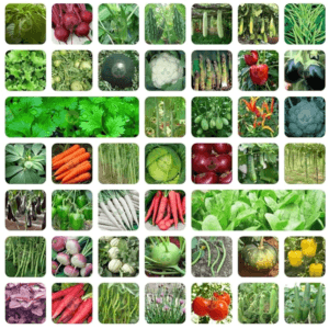 Organic Seed pack