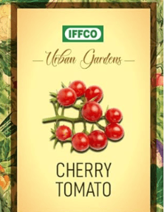 Cherry Tomato seeds