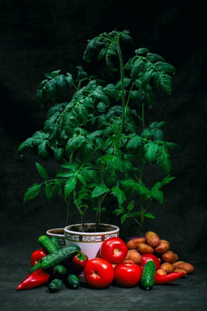 Kitchen Gardening